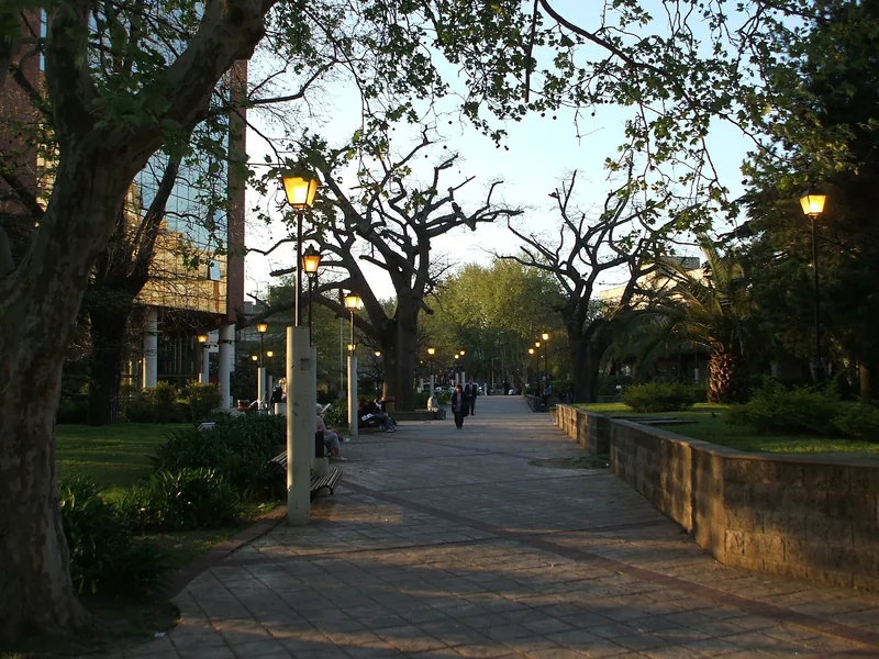DHC San Isidro