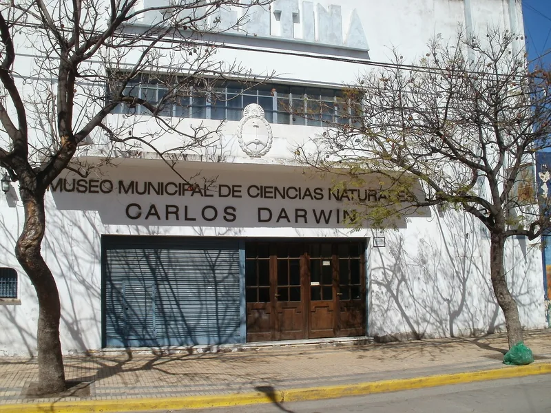 Punta Alta