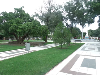 Frías